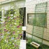 Nylon Garden Fence Vegetable Plant Trellis Netting